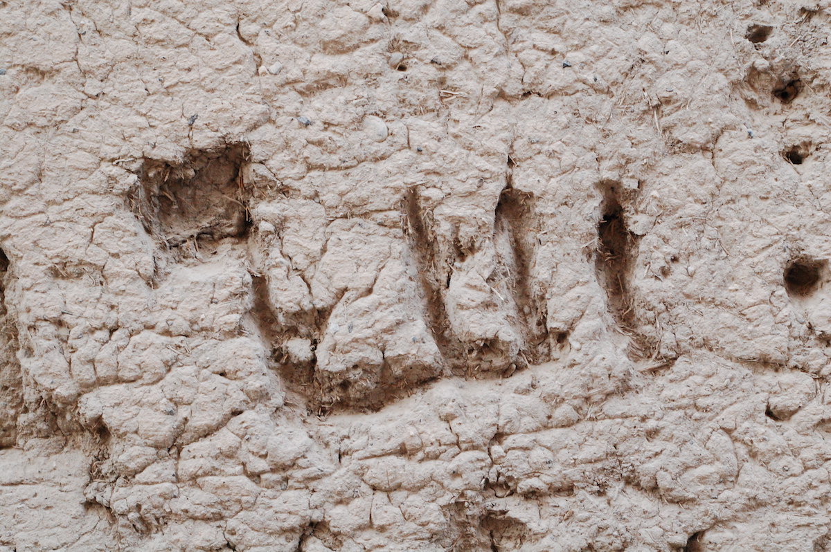 "Allah," on a mud wall in Nizwa, Oman.